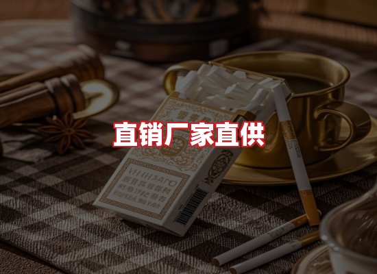 专业团队
